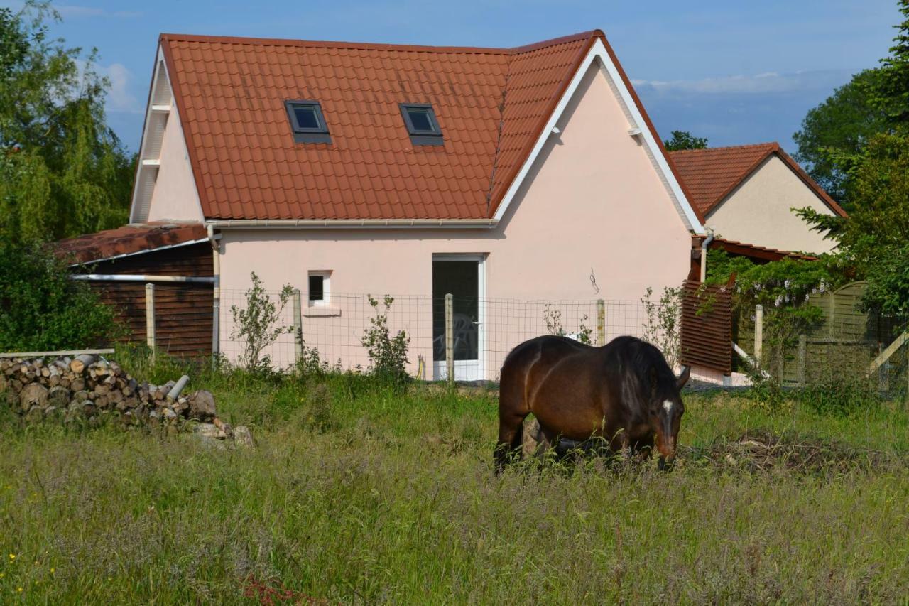 Vila Le Paddock Des Caloges Le Tilleul Exteriér fotografie